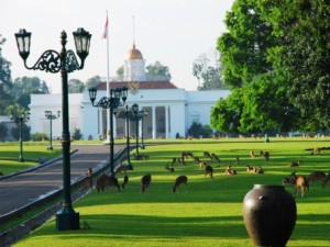 Objek Wisata di Bogor