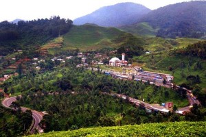 Sewa Mobil Bogor Puncak